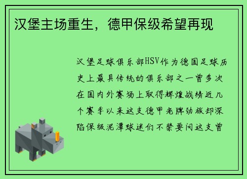 汉堡主场重生，德甲保级希望再现